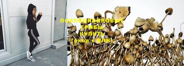 дурь Алзамай